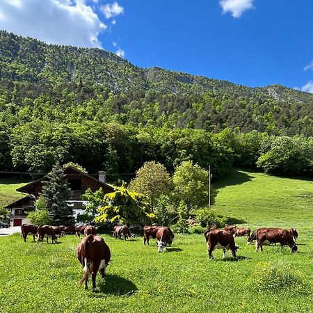 Appartement Lapreski, Spacieux, Proche Lac D'Annecy, Randonnees Montagne Thônes Zewnętrze zdjęcie