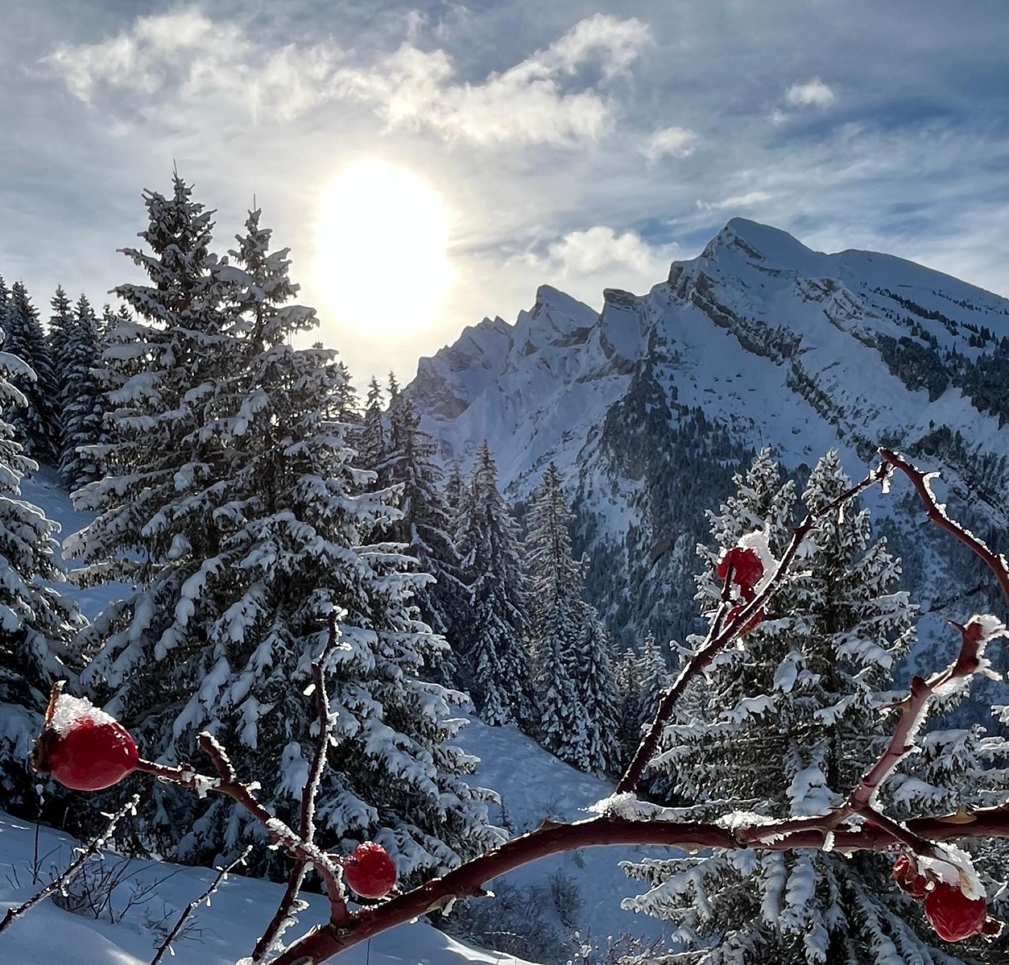 Appartement Lapreski, Spacieux, Proche Lac D'Annecy, Randonnees Montagne Thônes Zewnętrze zdjęcie